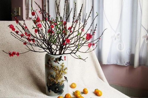 Nhúng cành hoa vào nước ấm và những cách giúp hoa đào 'tỉnh giấc' đúng Tết