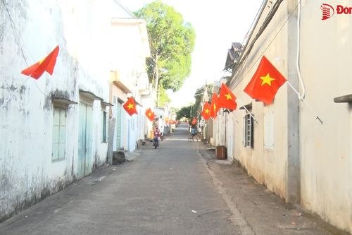 Đường quê rợp cờ Tổ quốc đón Tết