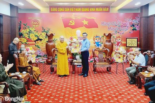 Khắp nơi trong tỉnh ngày 31-1-2024