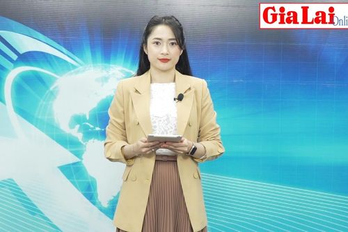 Gia Lai 24h: Khởi tố vụ khai thác gỗ trái phép tại lâm phần Công ty Trạm Lập