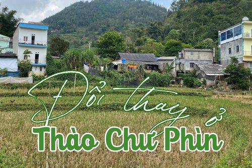 Đổi thay ở Thào Chư Phìn