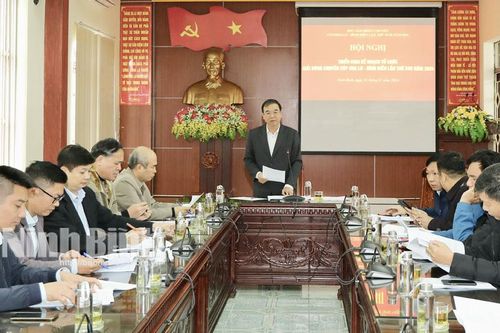 Triển khai kế hoạch tổ chức Giải Bóng chuyền cúp Hoa Lư-Bình Điền lần thứ XVIII
