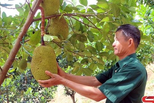 Phát huy phẩm chất bộ đội cụ Hồ