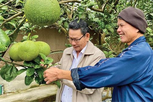Đam mê với nông nghiệp hữu cơ, tuần hoàn