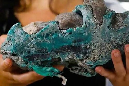 Đá nhựa 'kỳ quái' được phát hiện tại 5 châu lục