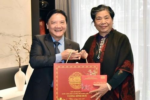 Phó Chủ tịch Quốc hội Nguyễn Khắc Định thăm, chúc Tết nguyên Phó Chủ tịch Thường trực Quốc hội Tòng Thị Phóng