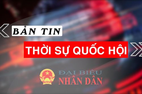 Bản tin Thời sự Quốc hội ngày 31.1.2024