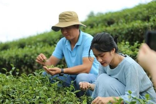 HTX ở đâu trên hành trình phát triển du lịch nông thôn?