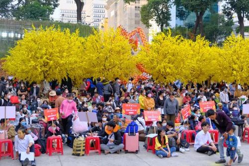 Chuyến xe mùa xuân mang sinh viên về quê đón Tết