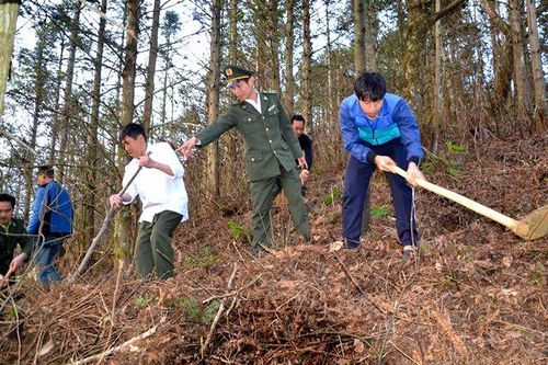 Sa Pa: Vừa hết rét, gió nóng Ô Quý Hồ nổi lên, nguy cơ cháy rừng tăng cao