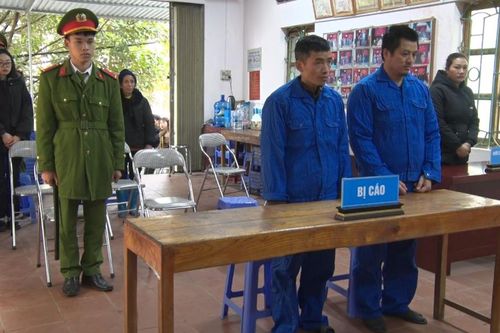 Thạch An xét xử lưu động vụ án hình sự về tội buôn bán và vận chuyển pháo nổ