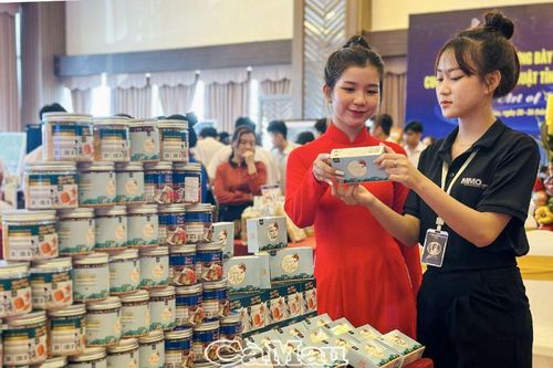 Phát triển kinh tế tập thể đa dạng về quy mô, lĩnh vực