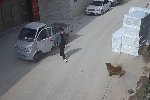 Tài xế quên kéo phanh tay, xe tải từ từ lùi xuống mương