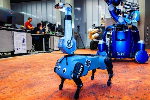 Phi hành gia điều khiển robot chó từ không gian