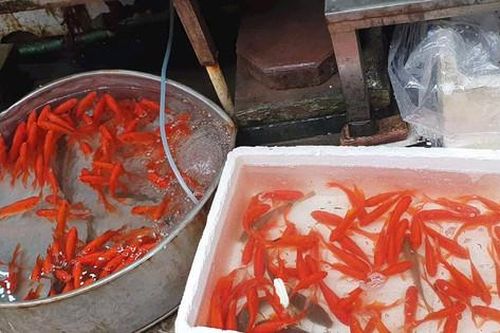 Cận lễ ông Táo, hoa tươi, rau xanh tăng giá