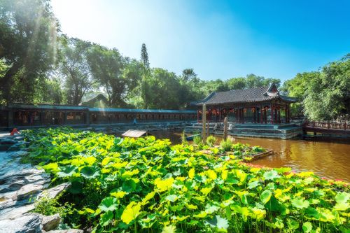 Loại gỗ trong dinh thự xa hoa bậc nhất, có giá hơn 9.200 tỷ đồng/cột