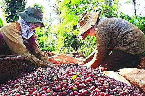 Tận dụng cơ hội để tăng trưởng xuất khẩu