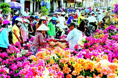Vui như đi chợ Tết