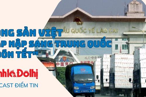 Nông sản Việt tấp nập sang Trung Quốc 'đón Tết'