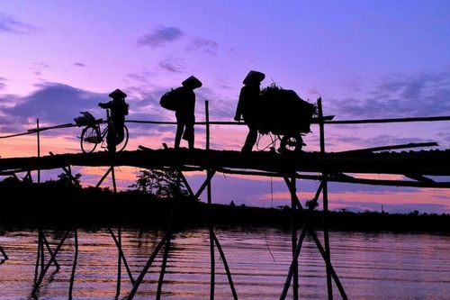 Cầu nối tuổi thơ