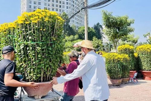 Hàng tết về nhiều, chợ lẻ nhích giá