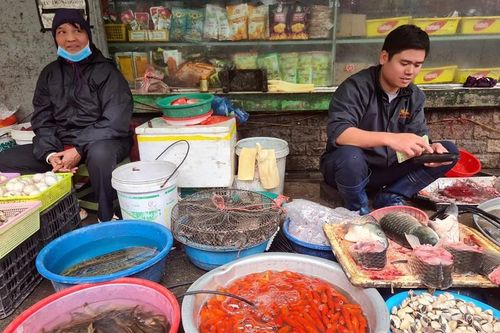 Chép cúng ông Công ông Táo mỏi mắt chờ khách