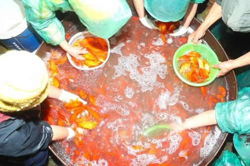 Chợ cá Yên Sở ngập sắc đỏ trước ngày tiễn ông Công ông Táo 'về trời'