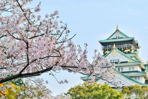 Khách Việt đổ xô du lịch Nhật Bản dịp Tết