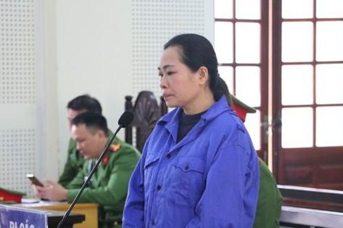 Người phụ nữ vận chuyển 7,5 kg 'nàng tiên nâu' lĩnh án sau 2 thập kỷ trốn truy nã