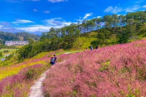 10 điểm đến được yêu thích nhất dịp Tết Nguyên đán 2024