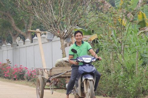 Kiếm tiền triệu từ nghề đào thuê cây 'hoa tươi thắm' dịp cận Tết
