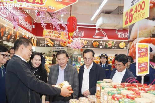 Lãnh đạo tỉnh kiểm tra tình hình cung ứng hàng hóa, giá cả thị trường dịp Tết Nguyên đán