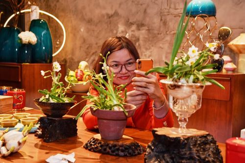Cận Tết, cùng thưởng trà, ngắm hoa thủy tiên