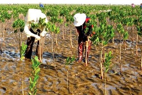 ADB cam kết mức tài trợ kỷ lục cho thích ứng biến đổi đổi khí hậu