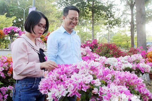 Hoa tết bắt đầu xuống phố