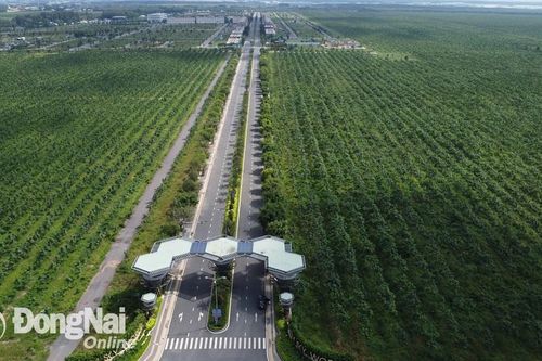 Lãnh đạo tỉnh yêu cầu tăng cường quản lý trật tự xây dựng