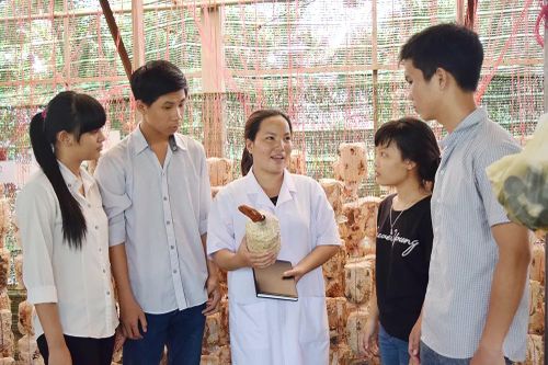 Nữ thạc sĩ mê… Nấm