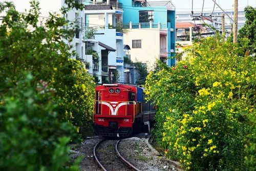 Mơ về đường hoa dài nhất Việt Nam