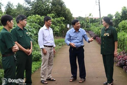 Xây dựng 74 công trình, mô hình kinh tế của cựu chiến binh