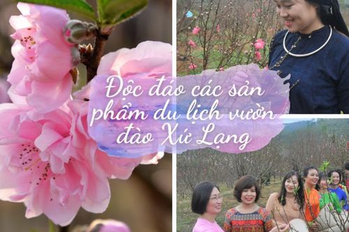 Độc đáo các sản phẩm du lịch vườn đào Xứ Lạng