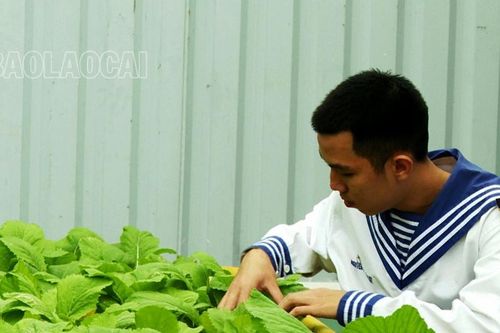 'Vườn treo trên biển' - công trình của sáng tạo và nhẫn nại