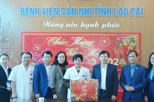 Đoàn công tác của Liên đoàn Lao động tỉnh thăm, chúc tết một số cơ quan, đơn vị, doanh nghiệp