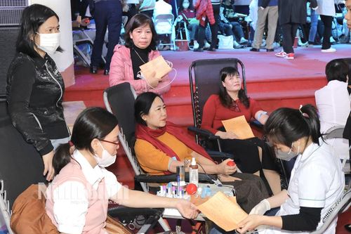 Chương trình 'Lễ hội xuân hồng' tại thành phố Ninh Bình