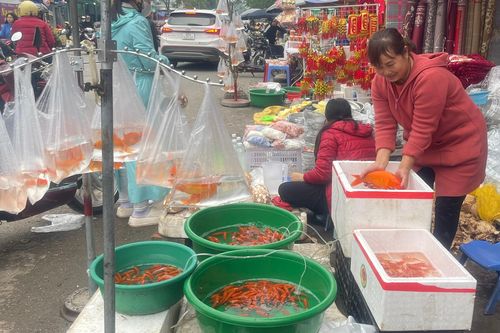 Nhộn nhịp thị trường phục vụ 'tiễn ông Công, ông Táo về trời'