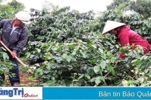 Đồng hành hỗ trợ nông dân Hướng Hóa phát triển kinh tế