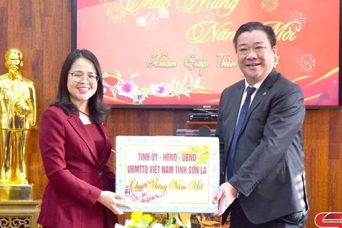 Đồng chí Trưởng ban Tuyên giáo Tỉnh ủy thăm, chúc tết Công ty Điện lực Sơn La