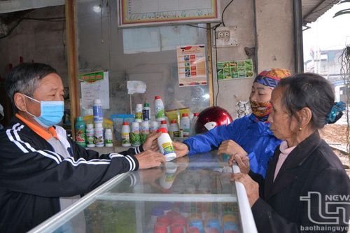 Đại Từ siết chặt quản lý chất lượng vật tư nông nghiệp
