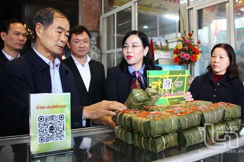 Đồng chí Bí thư Tỉnh ủy thăm, chúc Tết tại Làng nghề bánh chưng Bờ Đậu
