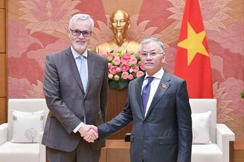 Phó Chủ nhiệm Ủy ban Đối ngoại Đôn Tuấn Phong tiếp Đại sứ Cộng hòa Liên bang Đức tại Việt Nam