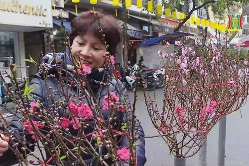 Rực rỡ sắc màu chợ hoa Tết phố Hàng Lược